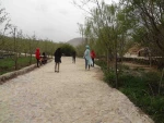 اردوی تنگ مروارید