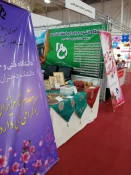 نمایشگاه
