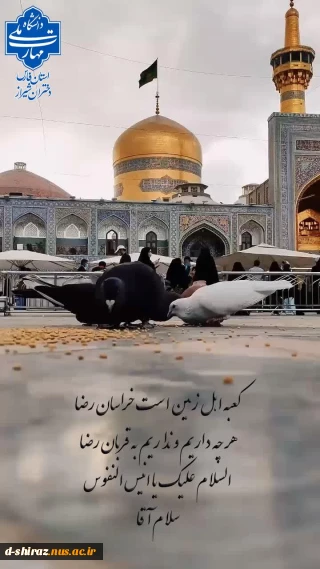 میلاد با سعادت امام رضا (ع) مبارک باد.
